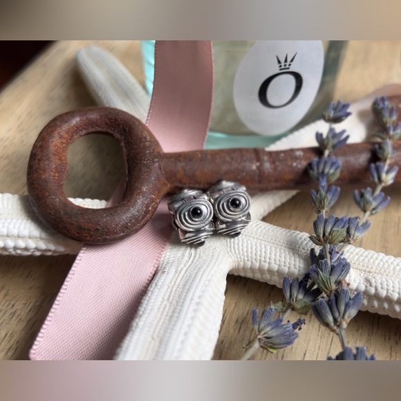 Pair of Retired Pandora Onyx Hypnotize Clip - Picture 2 of 8